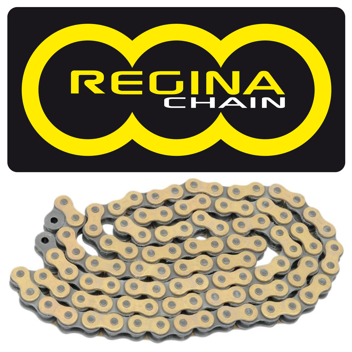 REGINA CHAIN – Dirt Tricks NZ